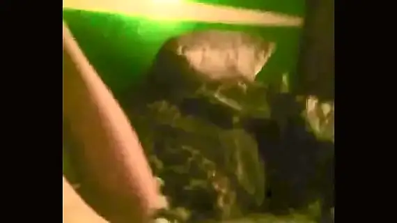 de perrito 1733502085